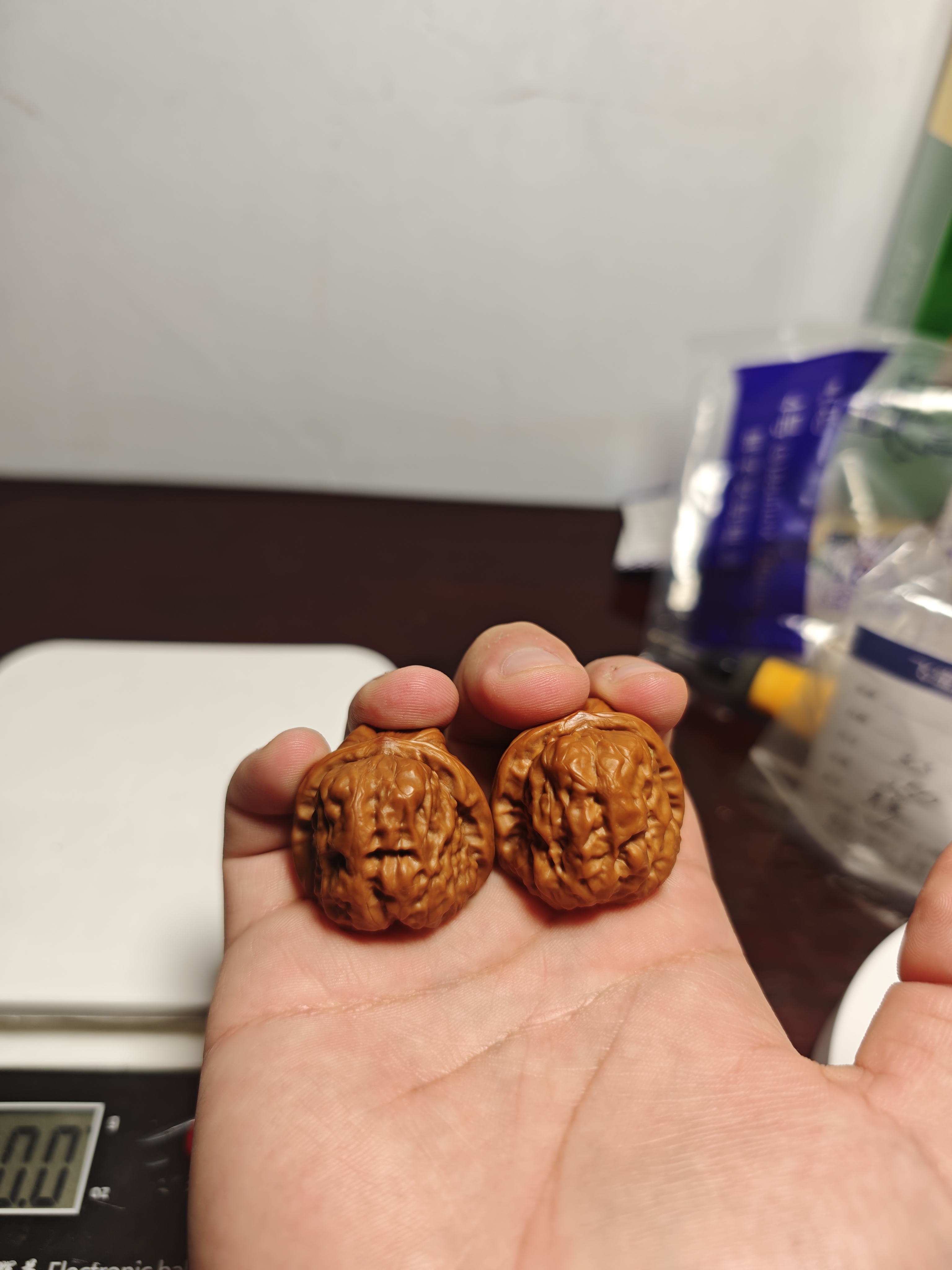 微修尖蛤蟆头33尺毕业级，即将玉化，无果肉残留