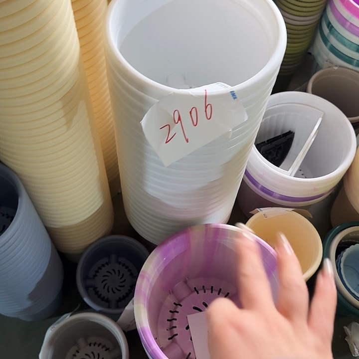 编号2906口25无托9个