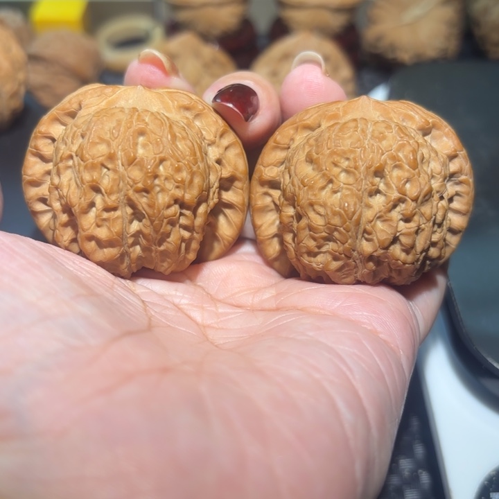 文玩核桃把件42全品血麒麟