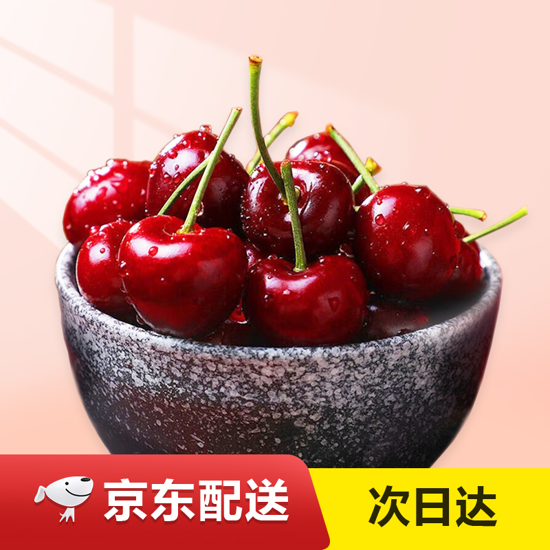 【次日达】桑提娜 加大车厘子JJJJJ空运海运新鲜水果进口大樱桃KG节日礼品包邮到家