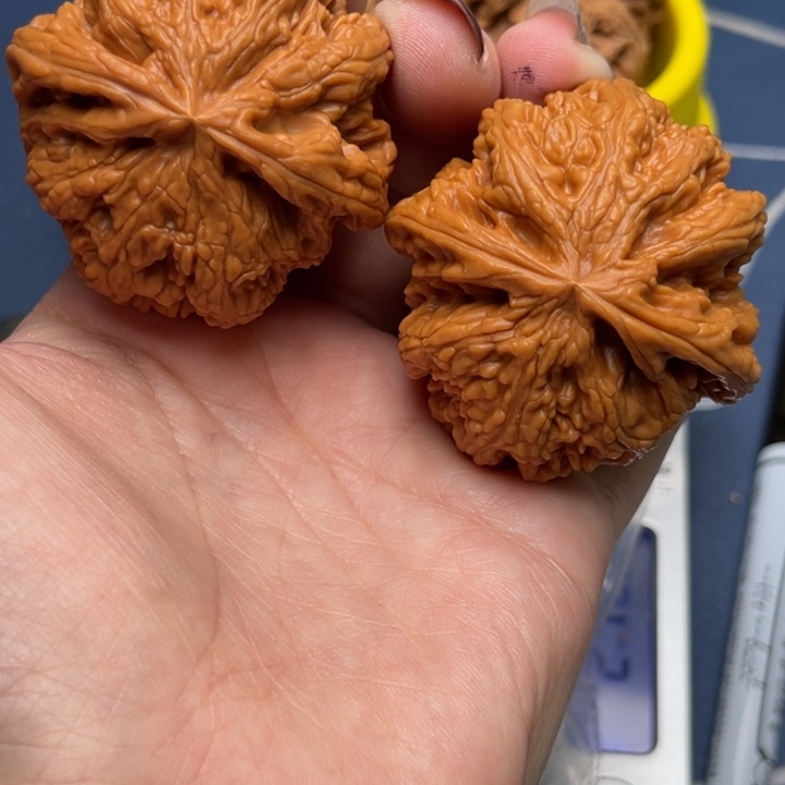 文玩核桃把件粗筋46