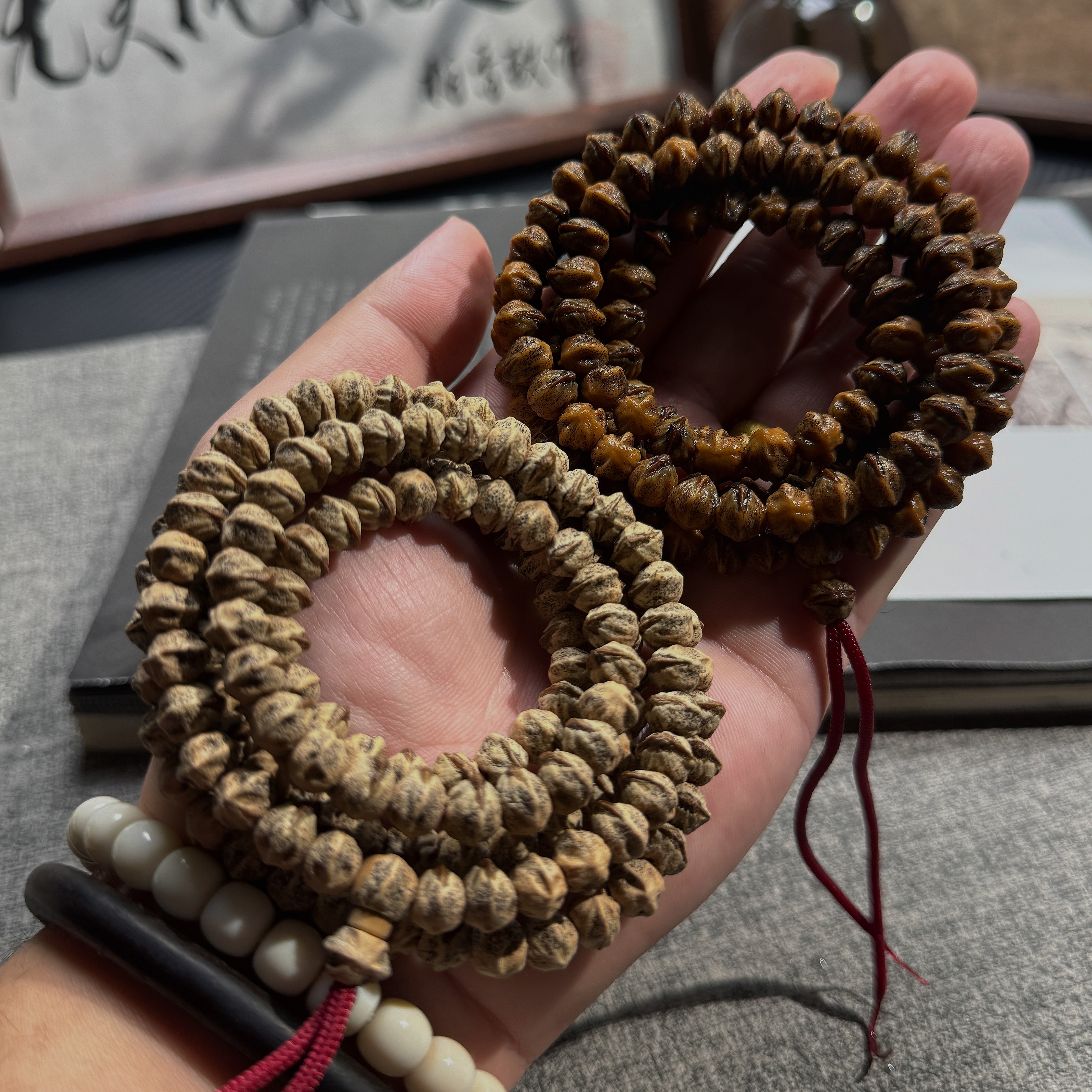 「赤心」红芽横打原桩热振百香籽 高油高密 藏野系列