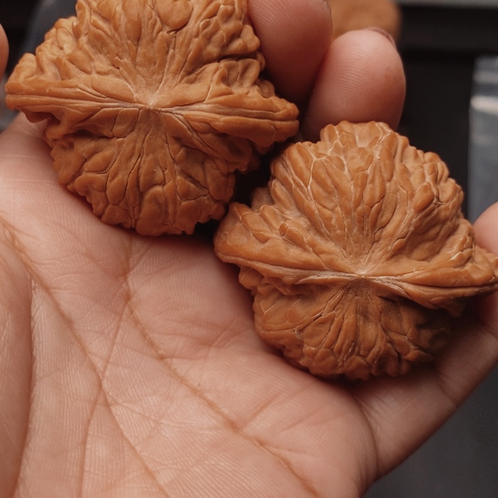 家***7核桃磨盘45尺核桃