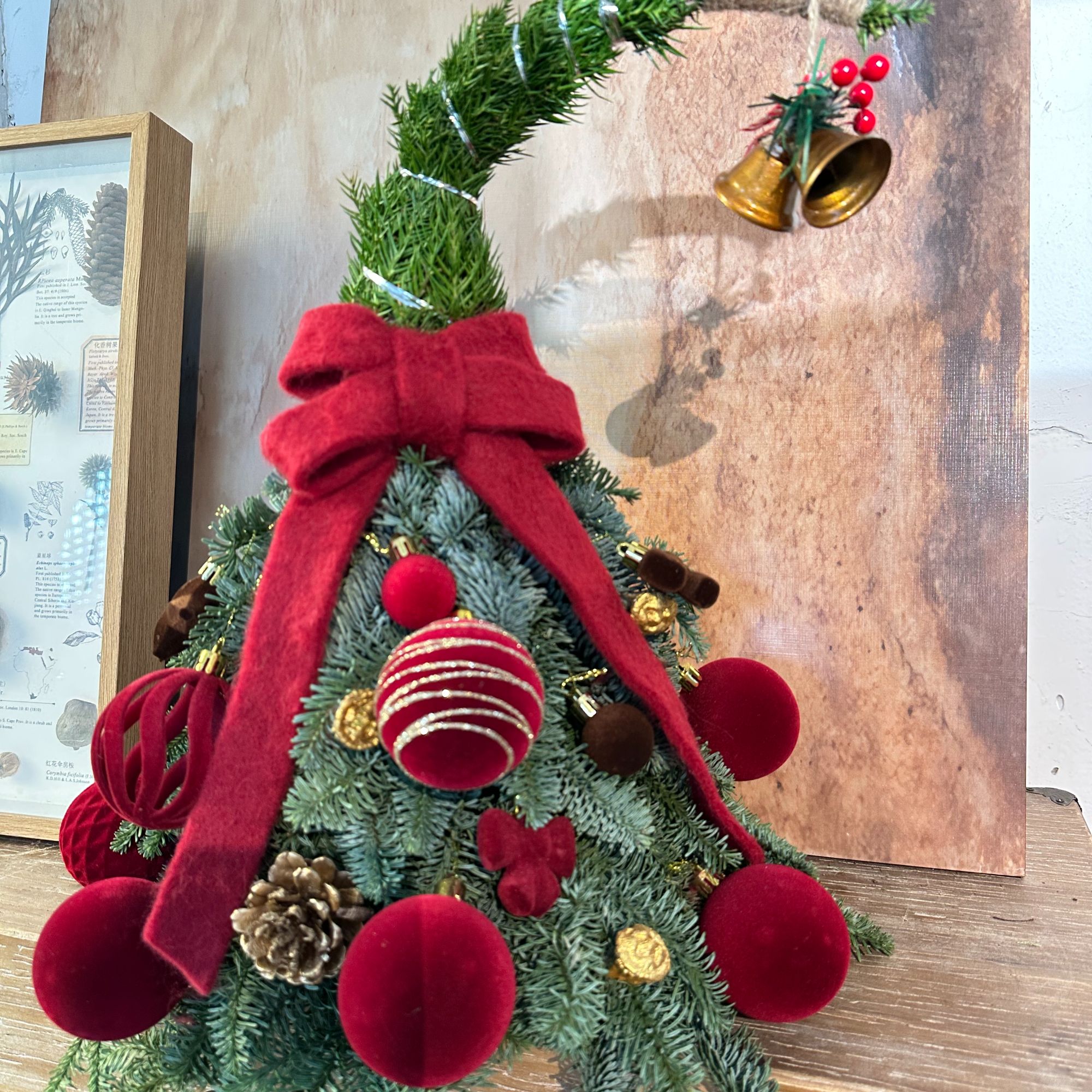 诺贝松鲜切枝圣诞树高级小众可做干花圣诞节花束