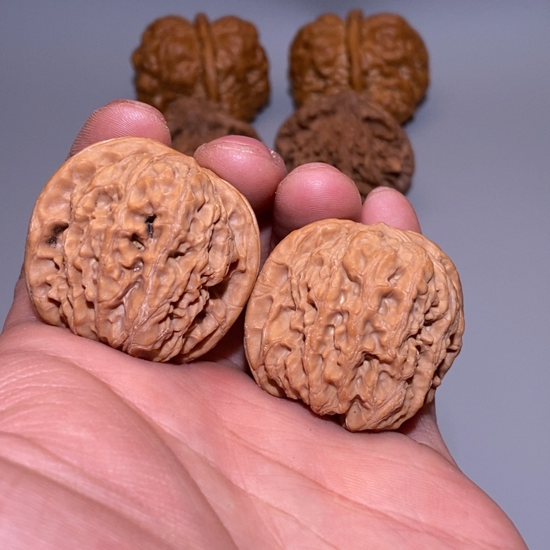 37尺 全品无修 白茬 野生方块