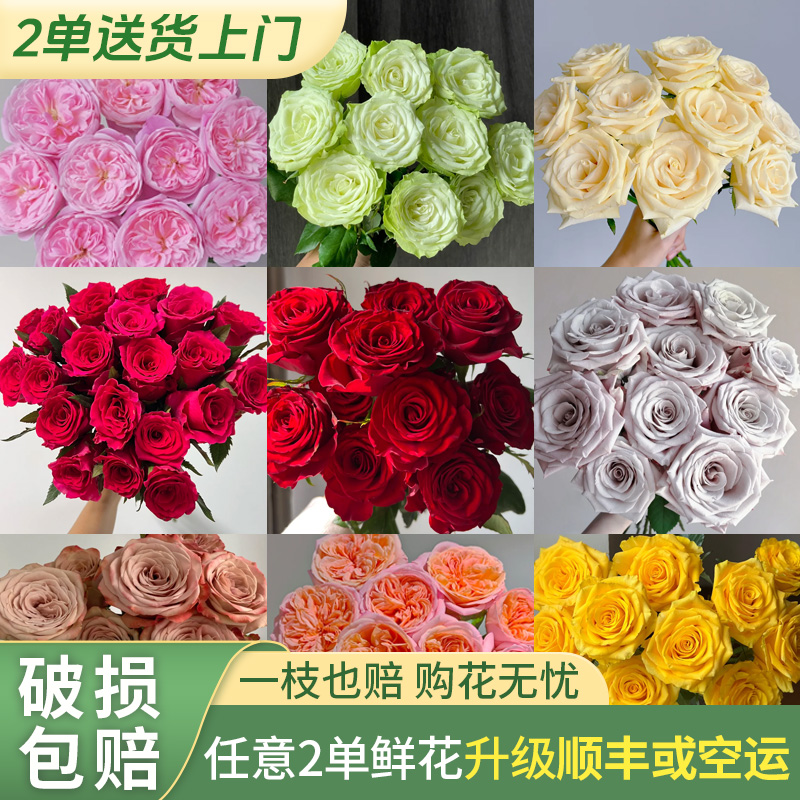 【源头优选】任意玫瑰花 云南直发鲜花家居插花水养鲜花直播卖花