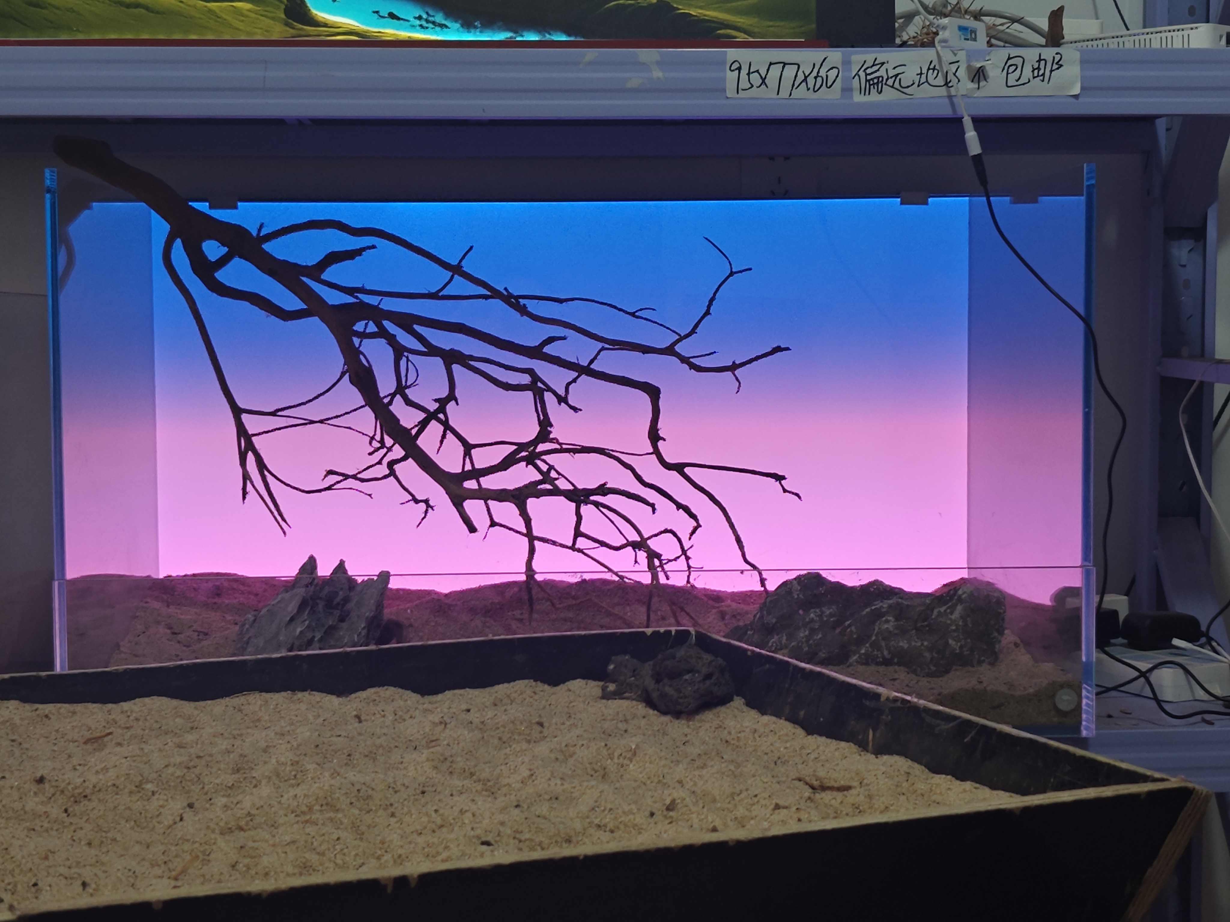 B养宠装备鱼缸造景一木成景南美枝杜鹃根实木