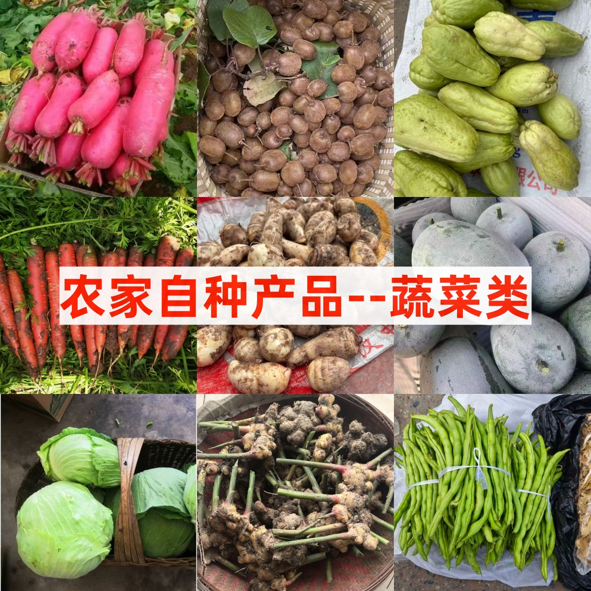 村播赶集     农家收货蔬菜类组合  蒜苗  香菜等 