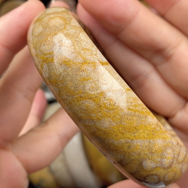 湛***蓝未镶嵌手镯硅化玉