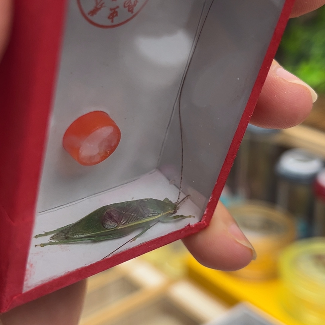 哈哈哈哈哈哈哈哈哈
