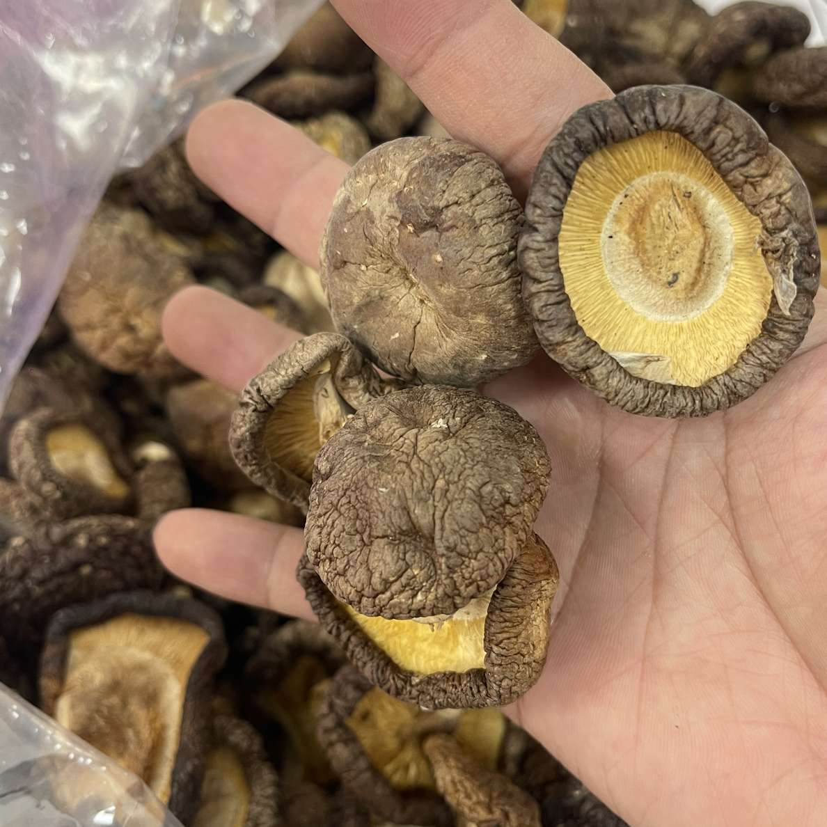 农家日晒干香菇好吃