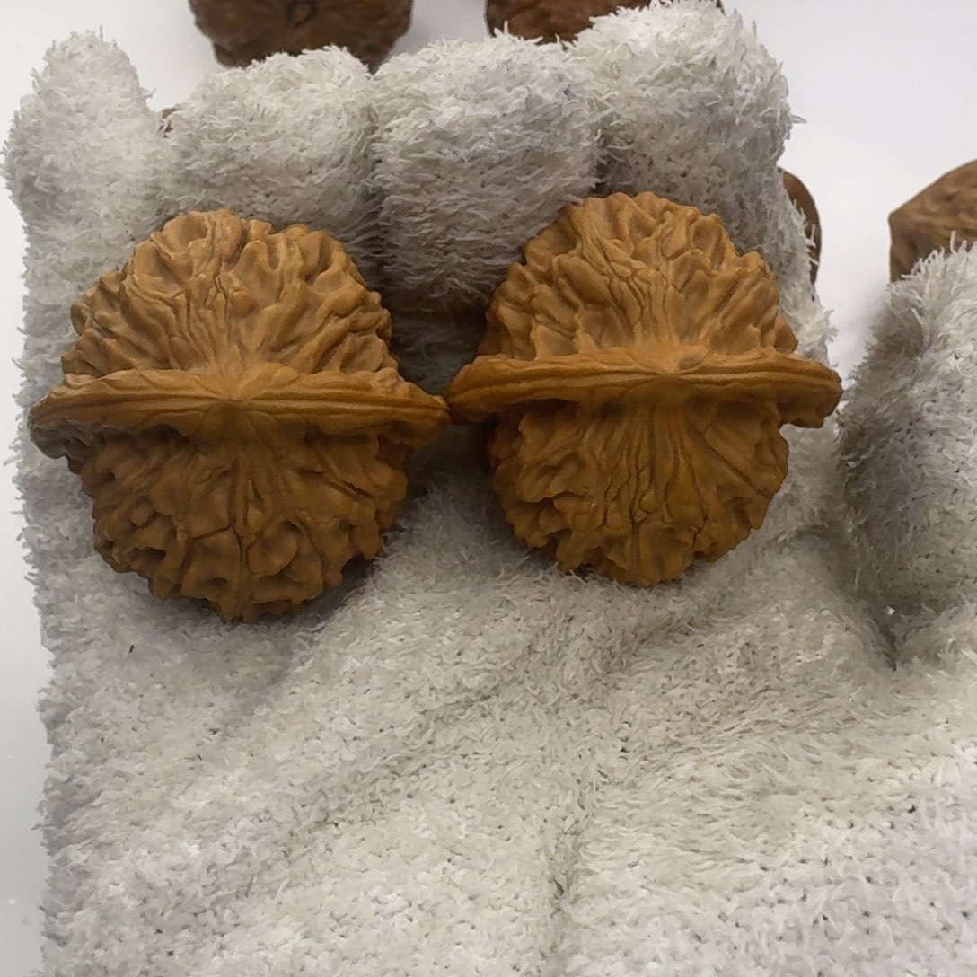 38尺寸有修天地核桃