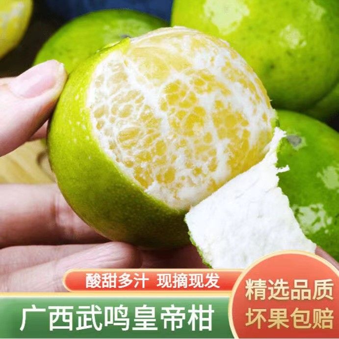 产地直发 广西新鲜采摘皇帝柑当季水果清甜多汁 