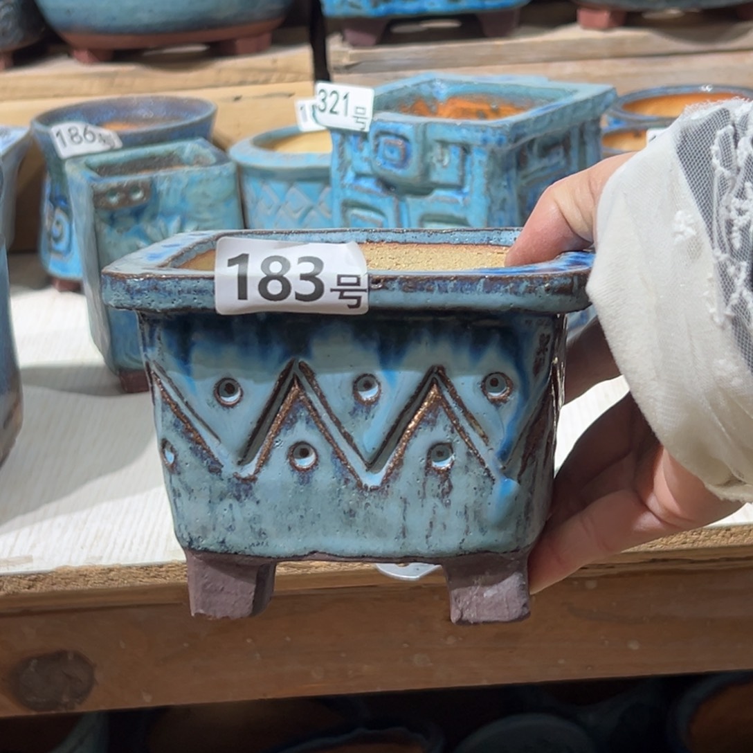 尚雅陶坊多肉花盆，内口径10.8