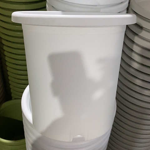 树脂四季7号5个无托白色