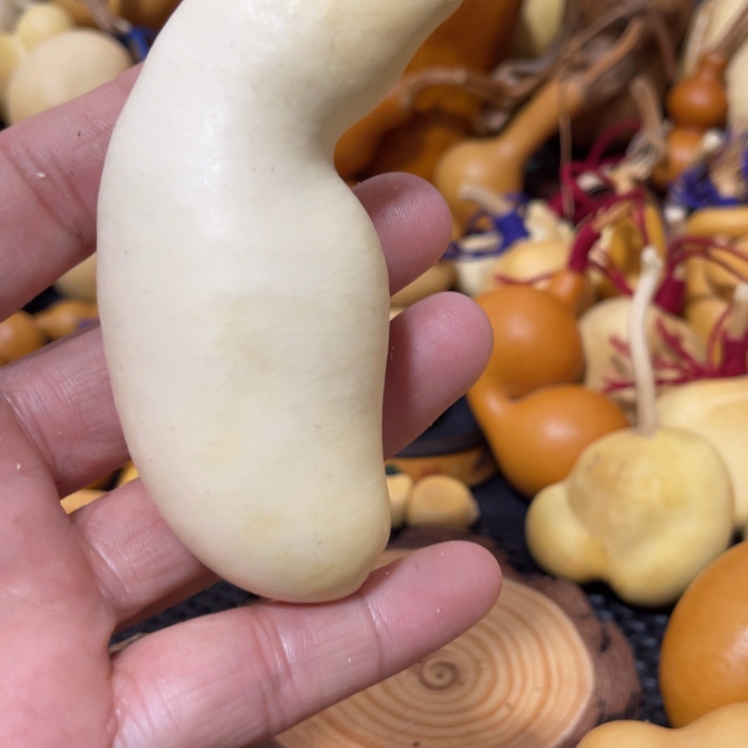 逆***上葫芦哈哈哈哈哈哈哈哈哈哈