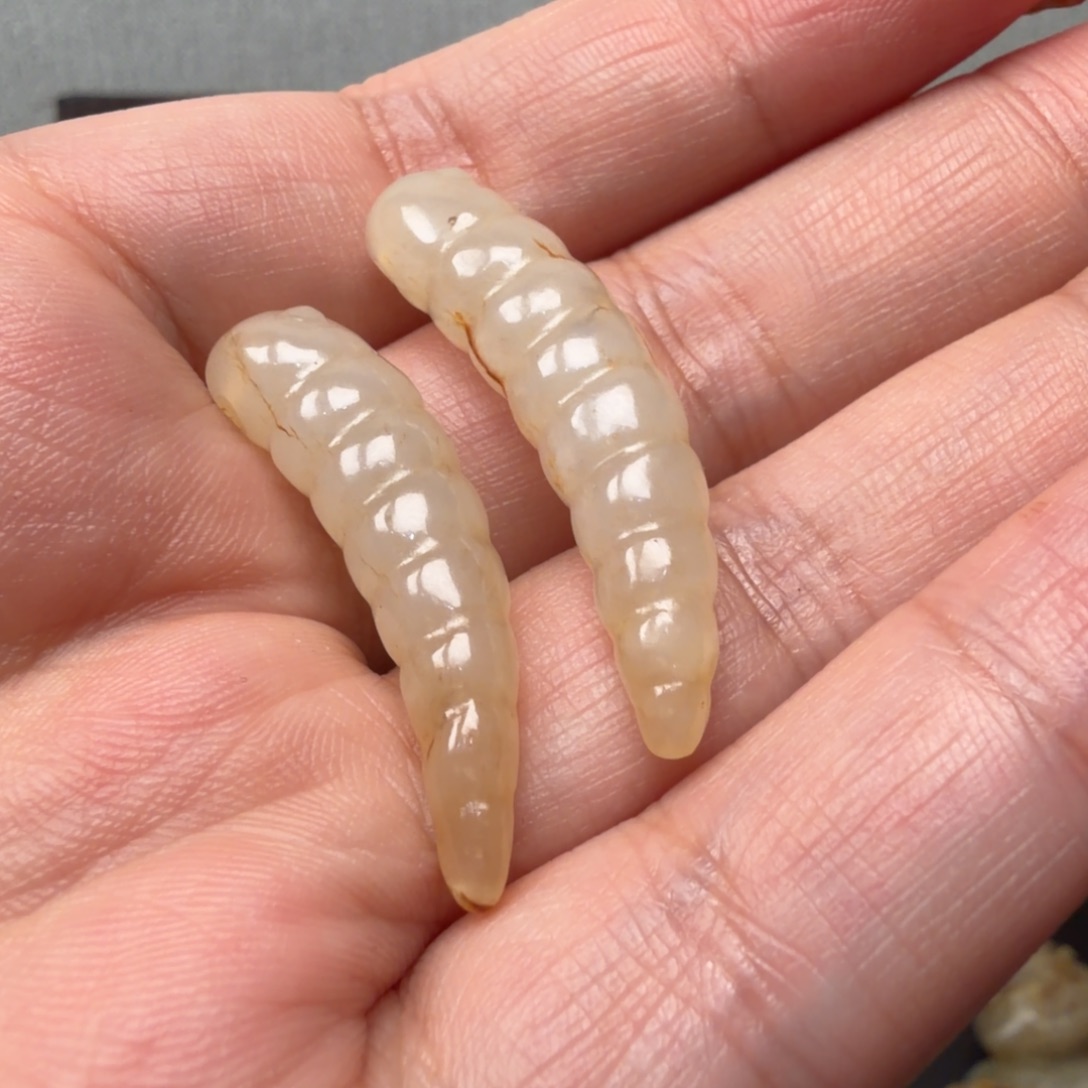 人***间精美的小乐子，，，，，，