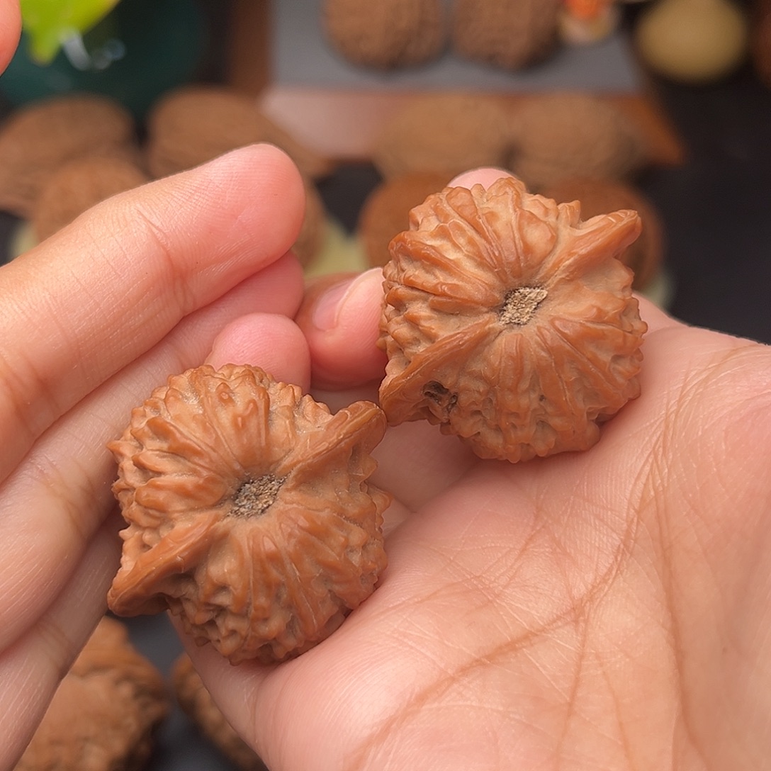 文玩核桃把件金丝雀全品35+
