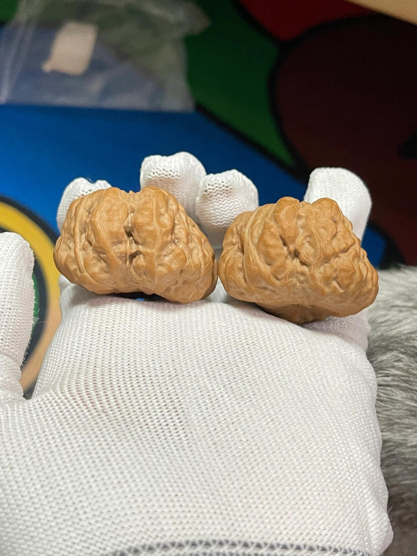 蛤蟆头一帆风顺文玩核桃核桃解压文玩送礼上色饱满退换