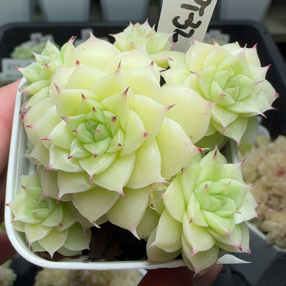 0204-230（PPT-32）