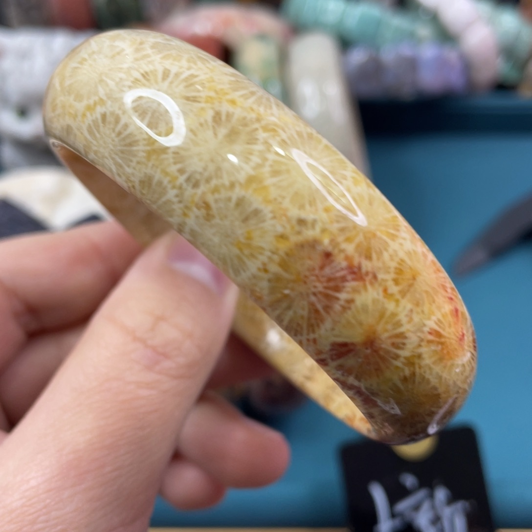 未镶嵌手镯硅化玉