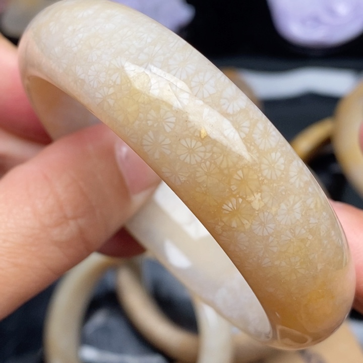 硅化珊瑚（珊瑚玉）手镯未镶嵌54.2