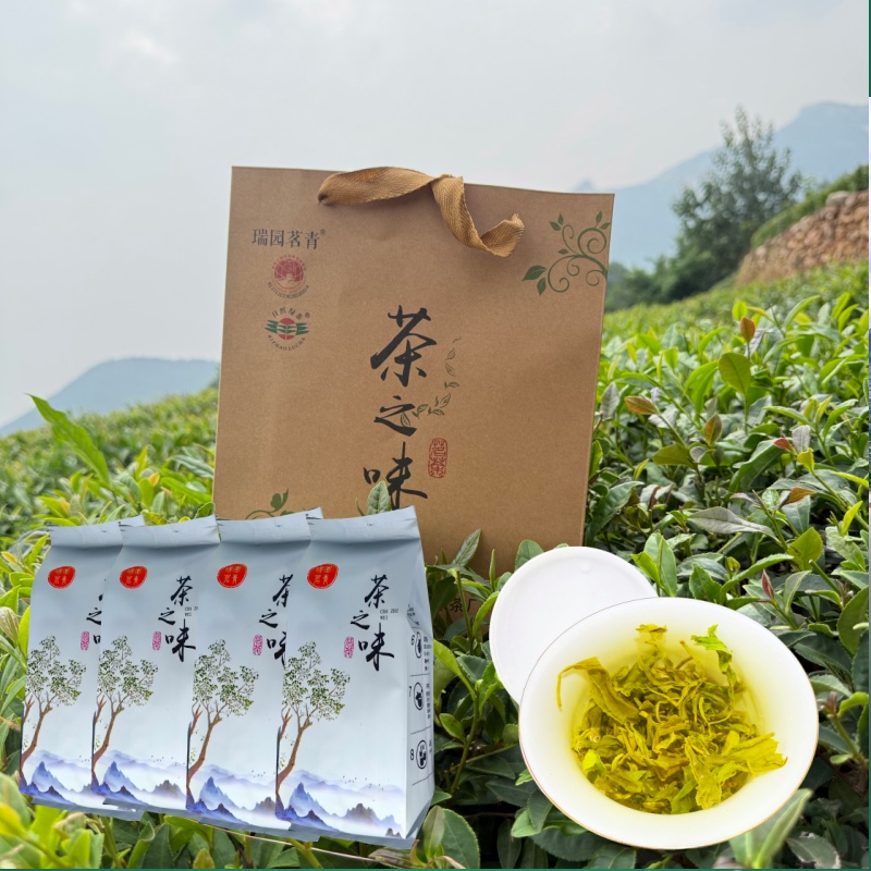【秋茶板栗香】日照绿茶、浓香杀口小机采茶、口粮茶
