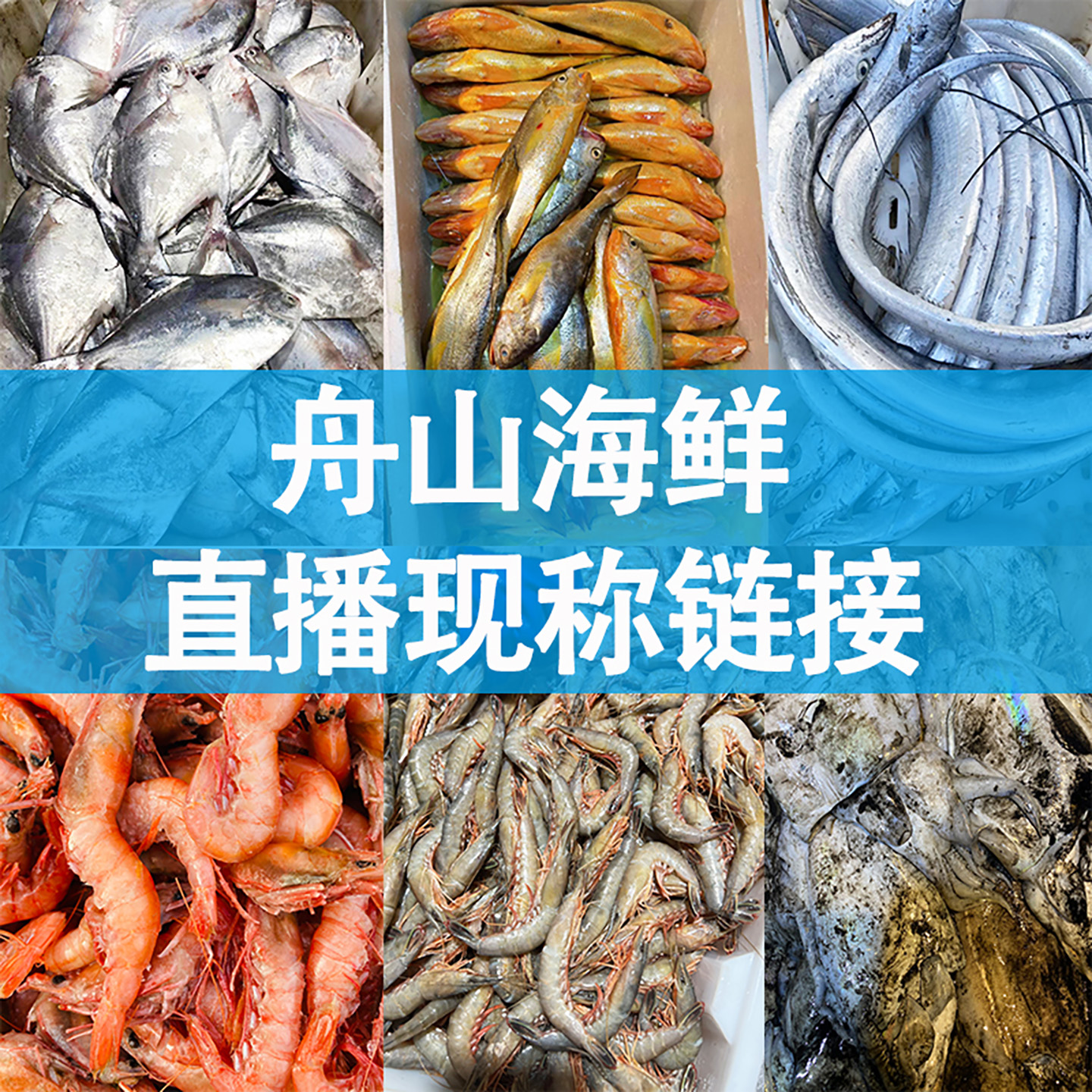 【保鲜不保活】直播现称（外省空运）两斤起2-9两/只