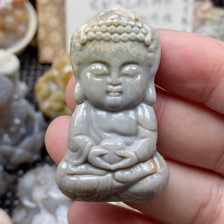 颈饰未镶嵌硅化珊瑚（珊瑚玉）