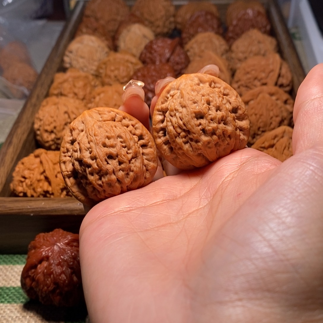 文玩核桃把件38金公子