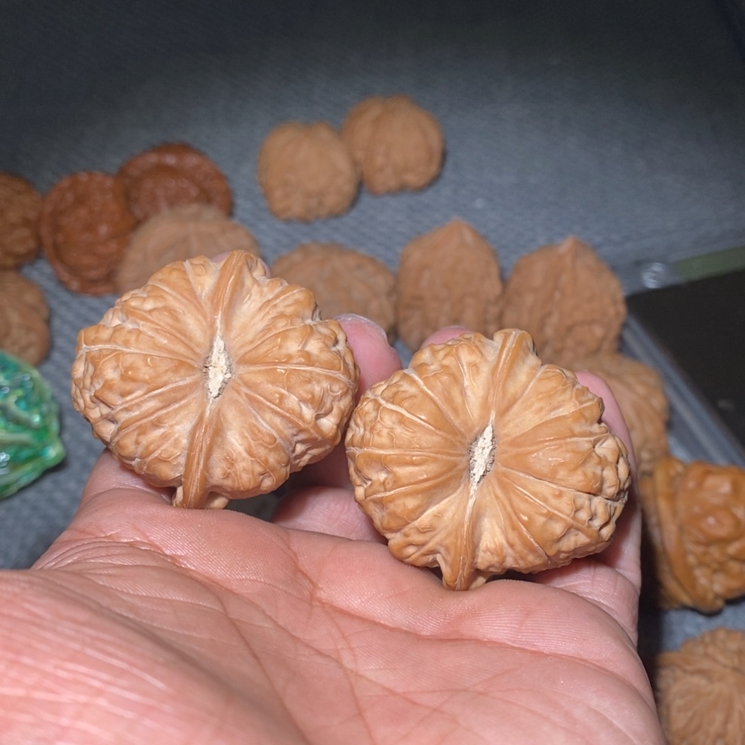 然***.44南瓜墩。         