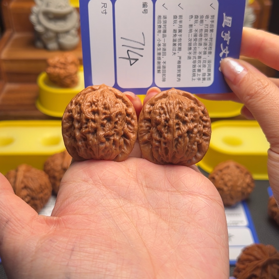 核桃714精修金公子38尺