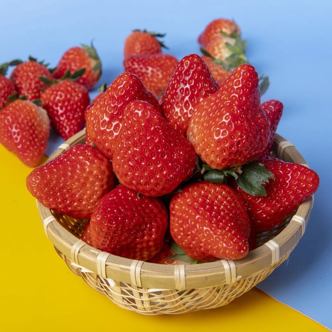 【头茬果】正宗九九草莓（大果）红颜牛奶草莓新鲜顺丰包邮坏果包赔