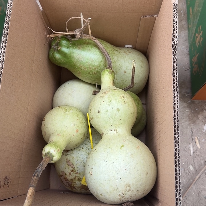 零元起拍文玩葫芦