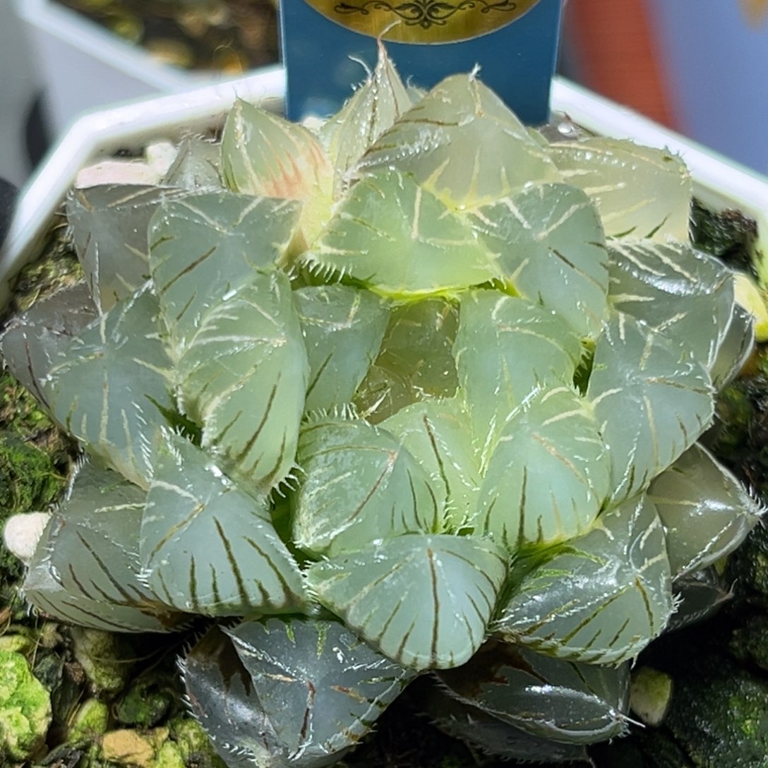 恭喜发财大吉大利710