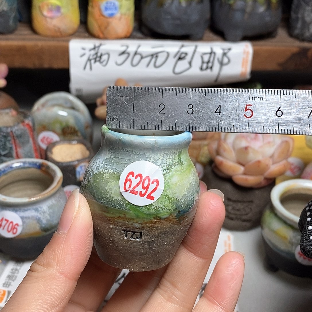 红陶拍5送一个小