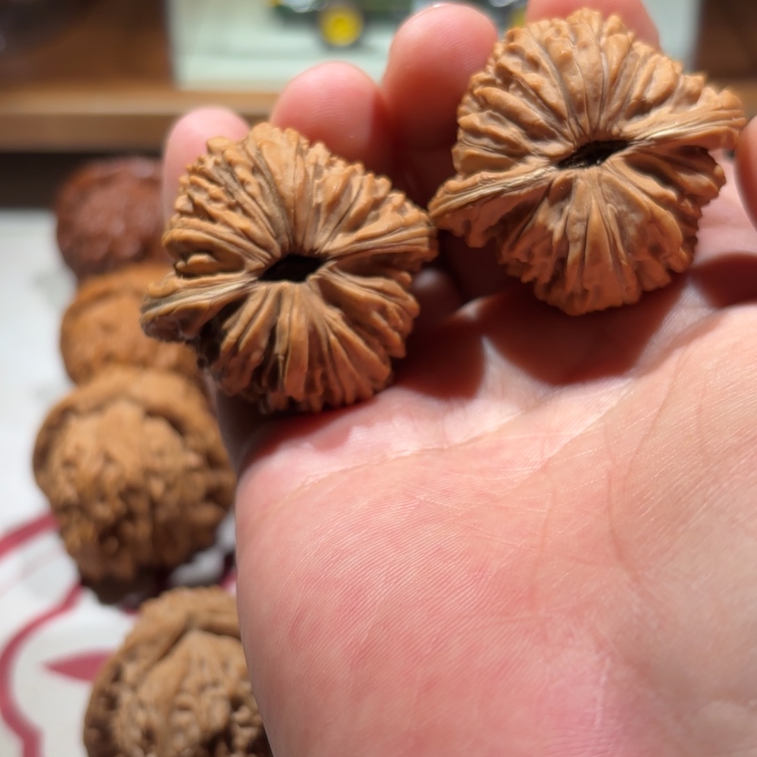 阿***锋正杨系列-正杨楼子