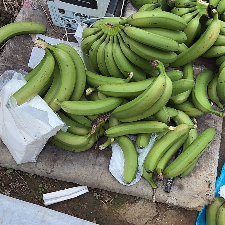 丑蕉丑香蕉，5斤装