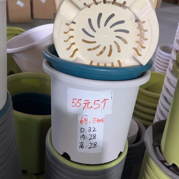微瑕6#口径32无托果绿5个
