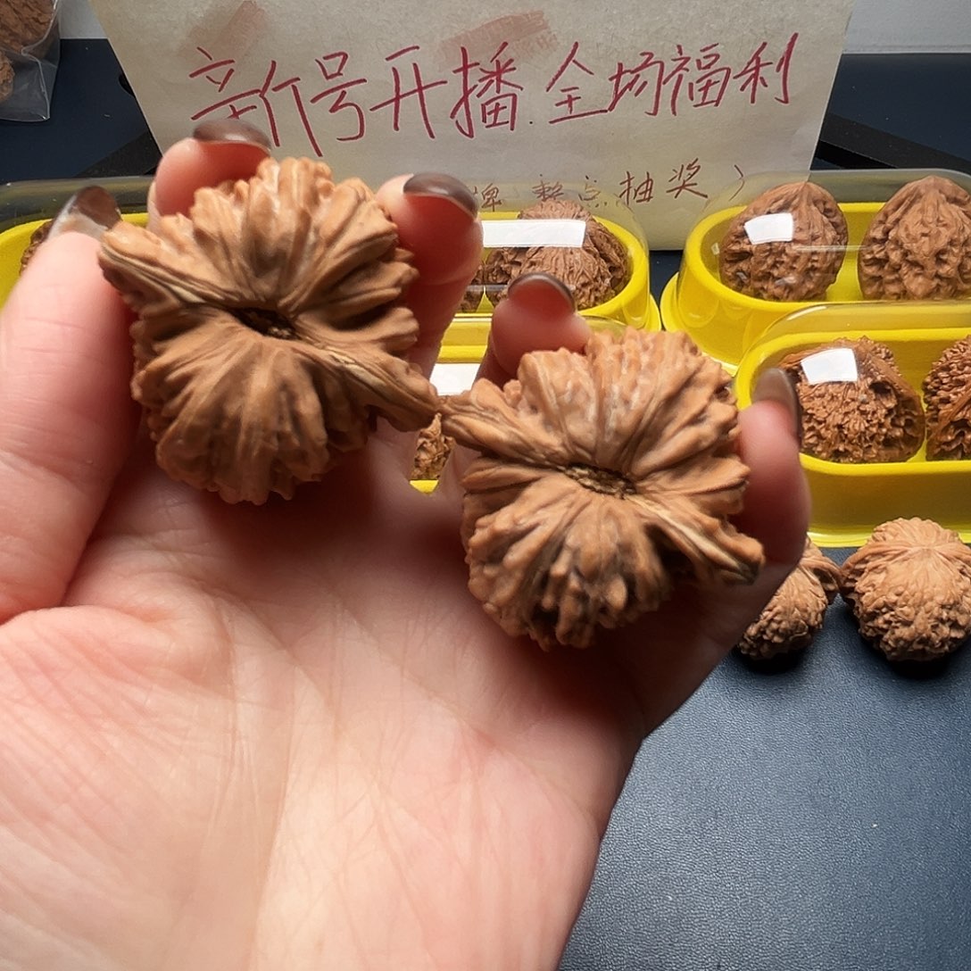 核桃41尺寸全品四座楼