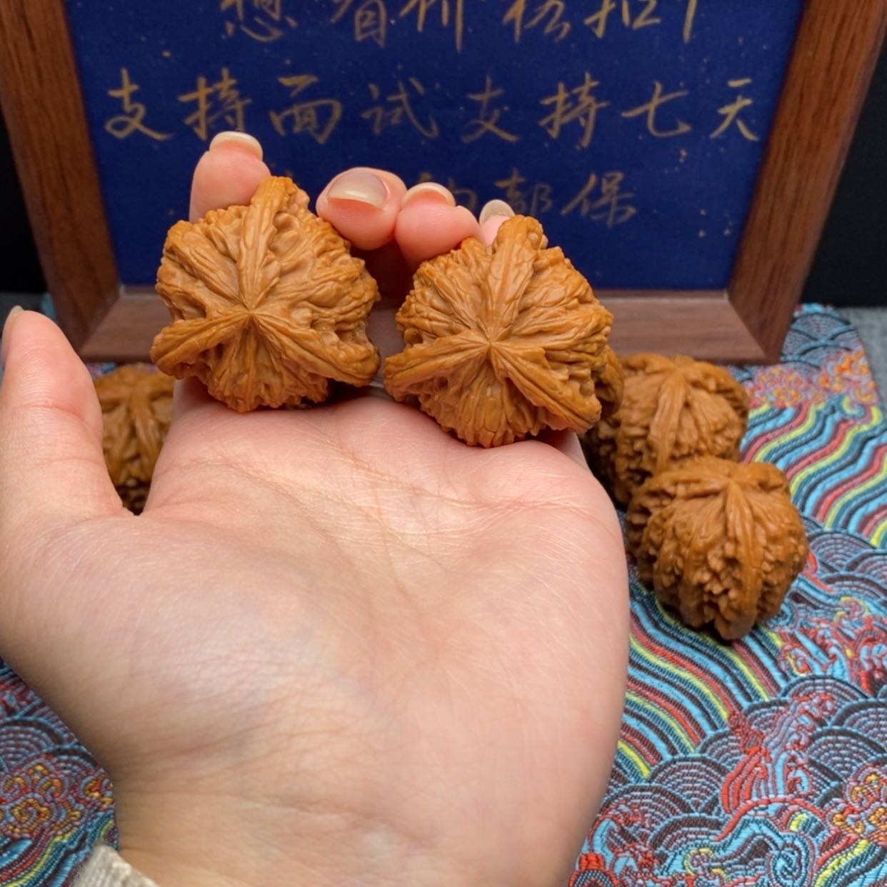 【闪购商品】巴*巴白狮