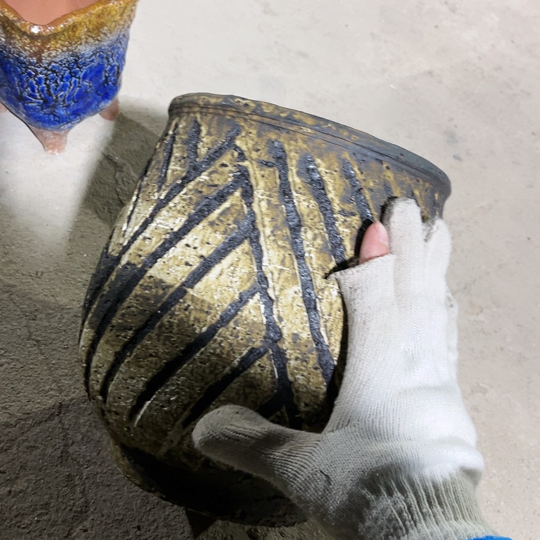 紫砂花盆花盆里的小猫咪