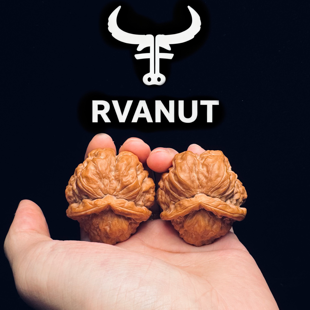 RVANUT出品（直播间一物一图专属链接）