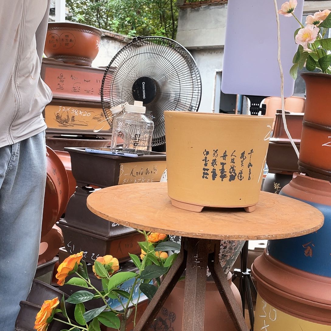 花开富贵中号一个花盆紫砂花盆