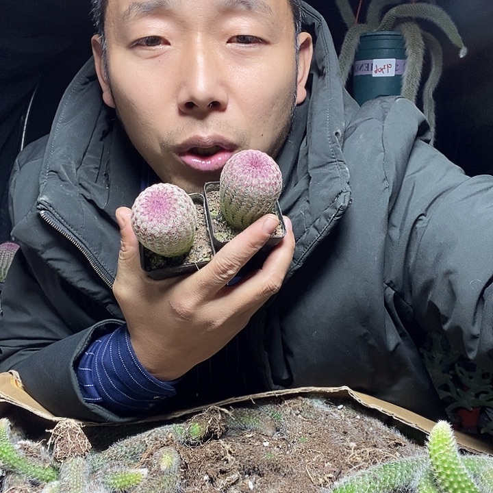 一物一拍手机后四位