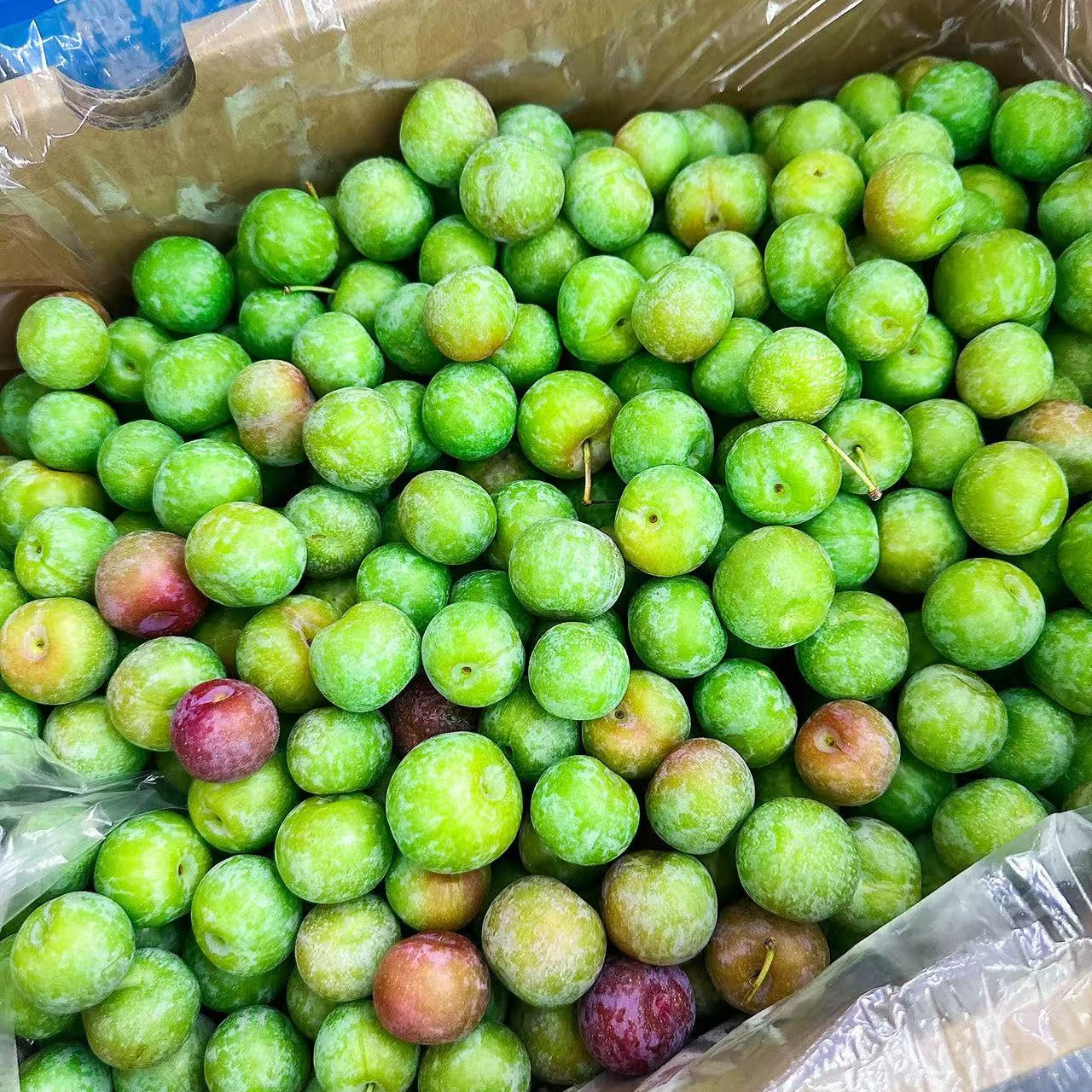 珠宝李 纯甜口 500克