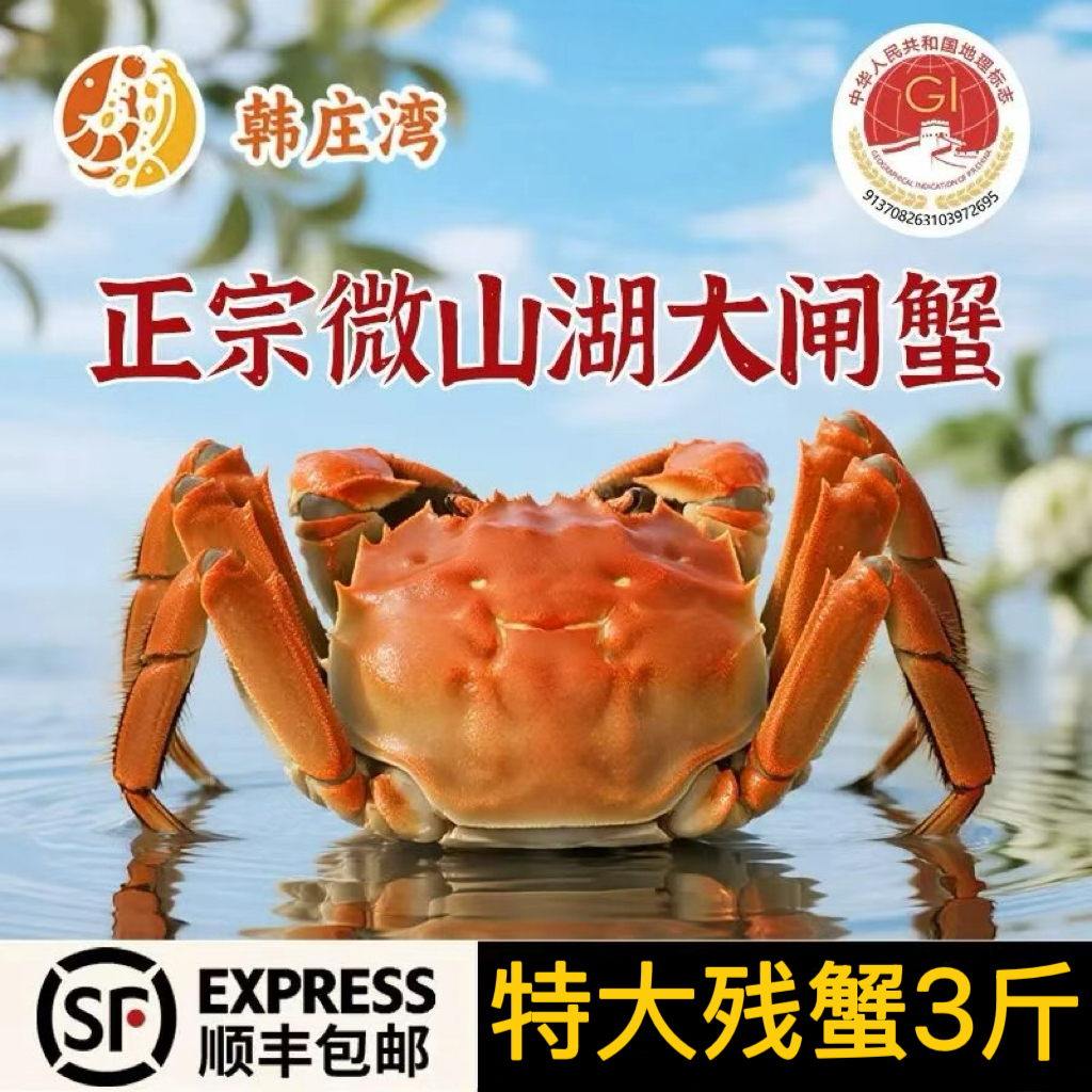 韩庄湾【活蟹】微山湖大闸蟹2两起母蟹搭配3两起公蟹不低于10只