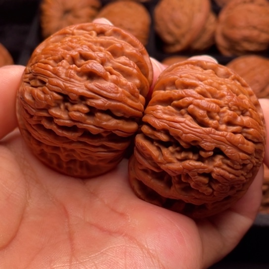 文玩核桃把件秦岭山脉核桃