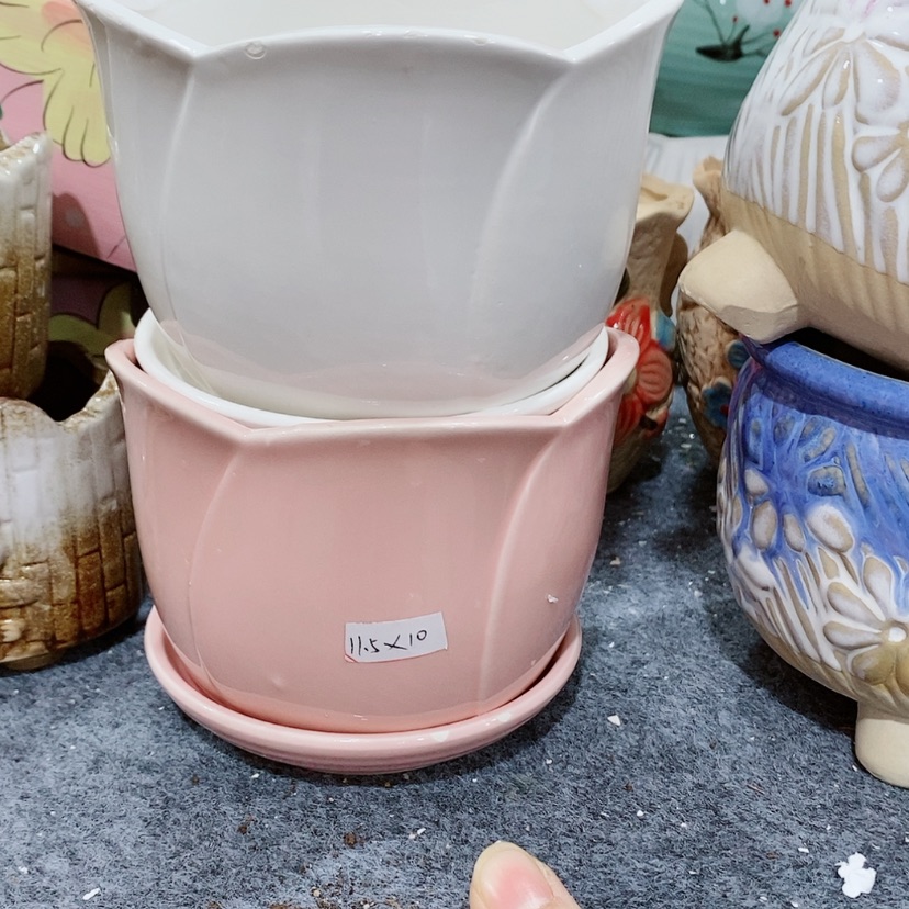 【闪购商品】红陶陶瓷多肉花盆