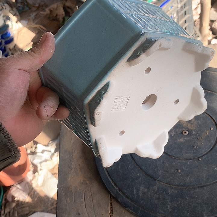 紫砂优秀青年科技人才创新